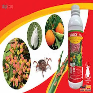 فروش عمده و خرید عمده روغن ولک از ایران 📦 با بسته‌بندی و لیبل دلخواه مشتری، کیفیت صادراتی و ارسال سریع به تهران، مشهد، شیراز و تبریز 🌟